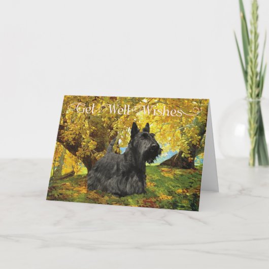 Scottish Terrier Get Well Wish Karte (Vorderseite)