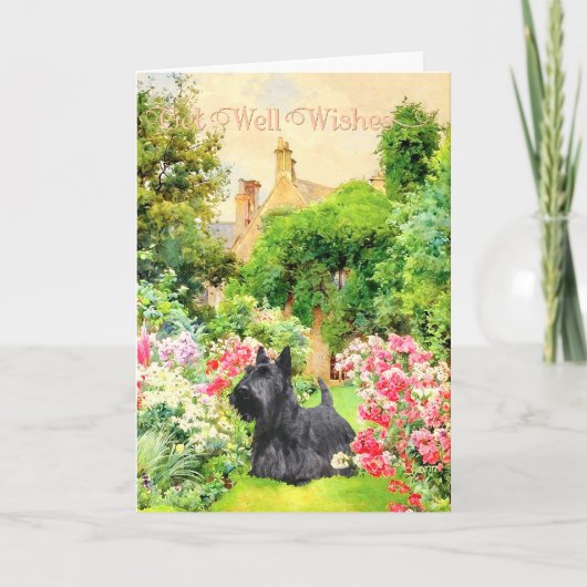 Scottish Terrier Get Well Wish Karte (Vorderseite)