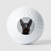 Scottish Terrier Golfball (Vorderseite)
