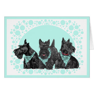 Scottish Terrier Grußkarte