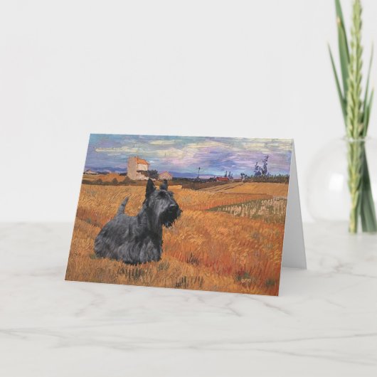Scottish Terrier Grußkarte Karte (Vorderseite)