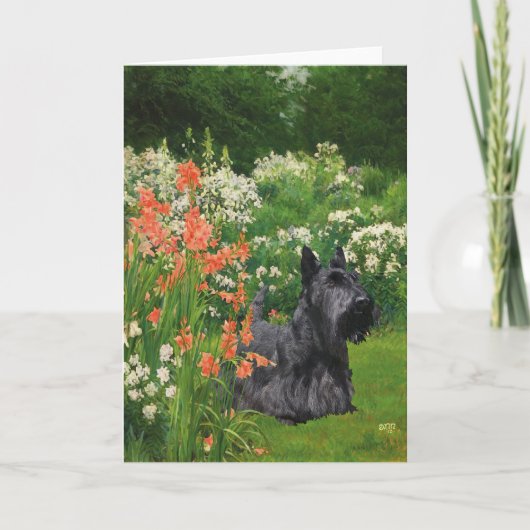 Scottish Terrier Grußkarte Karte (Vorderseite)