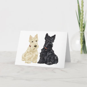 Scottish Terrier Grußkarte Karte