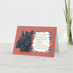 Scottish Terrier Grußkarte Karte