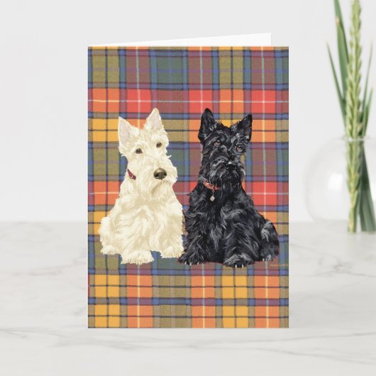 Scottish Terrier Grußkarte Karte (Vorderseite)