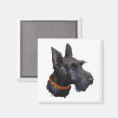 Scottish Terrier Head Study Magnet (Vorderseite/Rückseite)