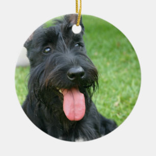 Scottish-Terrier-Hundeverzierung Keramikornament