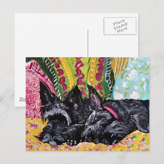 Scottish Terrier Hütte Postkarte (Vorne/Hinten)