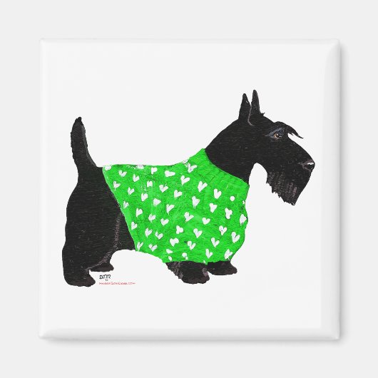 Scottish Terrier in einem Pullover Magnet (Vorne)