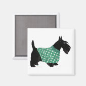 Scottish Terrier in einem Pullover Magnet (Vorderseite/Rückseite)