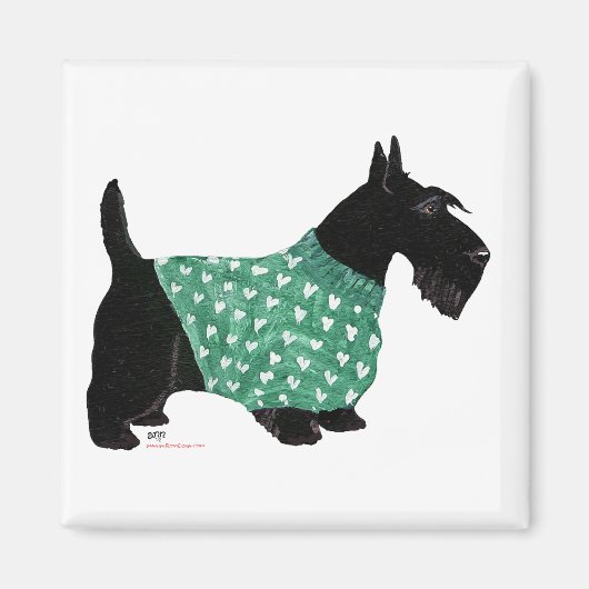 Scottish Terrier in einem Pullover Magnet (Vorne)