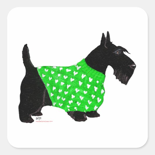 Scottish Terrier in einem Pullover Quadratischer Aufkleber (Vorderseite)