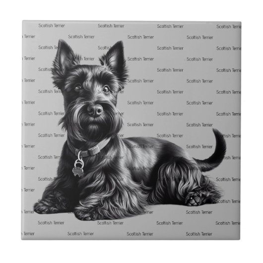 Scottish Terrier in Fliese (Vorderseite)