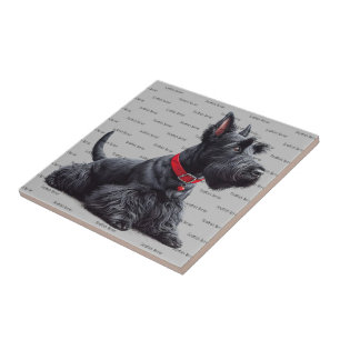 Scottish Terrier in Fliese