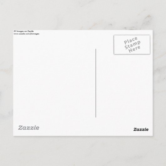 Scottish Terrier in Grass - Niedlich Scotty Postkarte (Rückseite)