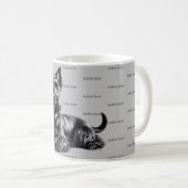 Scottish Terrier in Kaffeetasse (VorderseiteRechts)