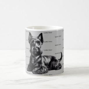 Scottish Terrier in Kaffeetasse