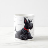 Scottish Terrier in Kaffeetasse (Mittel)