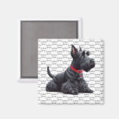 Scottish Terrier in Magnet (Vorderseite/Rückseite)