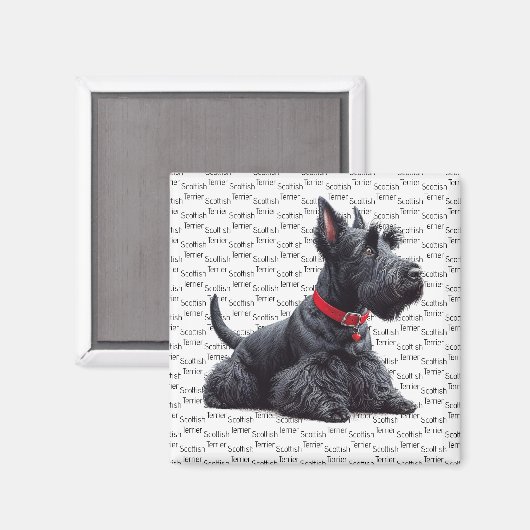 Scottish Terrier in Magnet (Vorderseite/Rückseite)