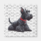 Scottish Terrier in Magnet (Vorne)