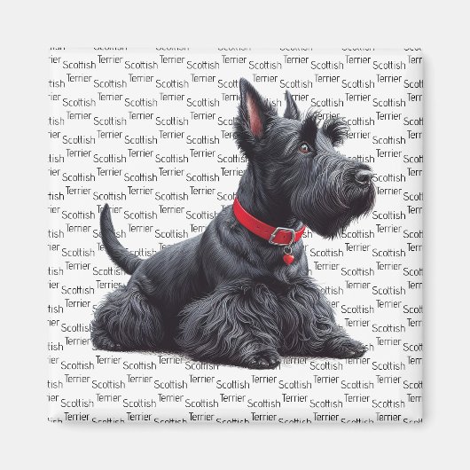 Scottish Terrier in Magnet (Vorne)