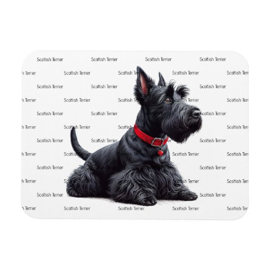 Scottish Terrier in Magnet (Horizontal)