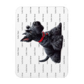 Scottish Terrier in Magnet (Vertikal)