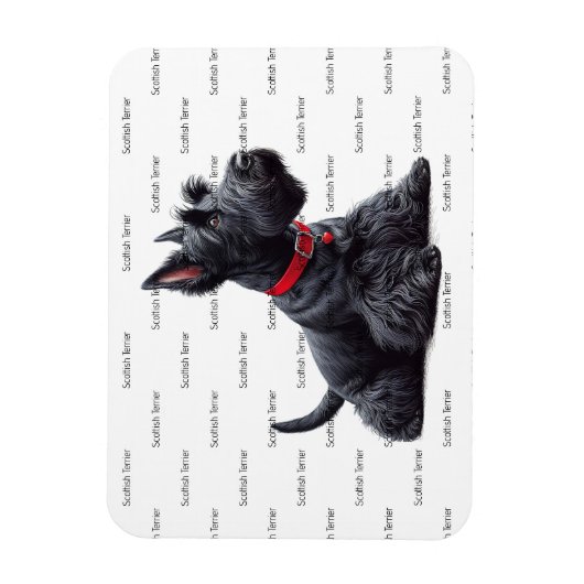 Scottish Terrier in Magnet (Vertikal)