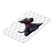 Scottish Terrier in Magnet (Linke Seite)