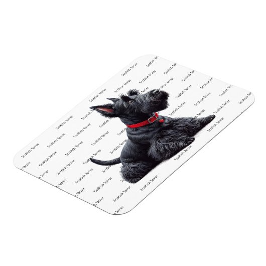 Scottish Terrier in Magnet (Linke Seite)