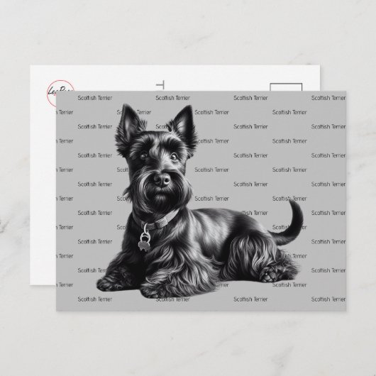 Scottish Terrier in Postkarte (Vorne/Hinten)