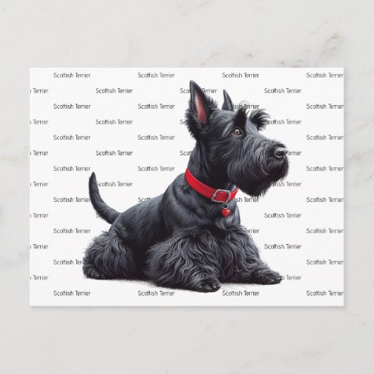 Scottish Terrier in Postkarte (Vorderseite)