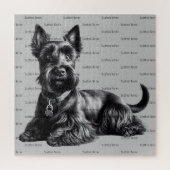 Scottish Terrier in Puzzle (Vertikal)