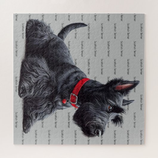 Scottish Terrier in Puzzle (Horizontal)
