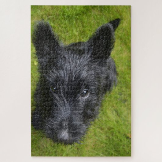 Scottish Terrier Jigsaws. Puzzle (Vertikal)
