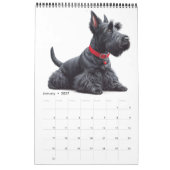 SCOTTISH TERRIER KALENDER (Jan 2027)