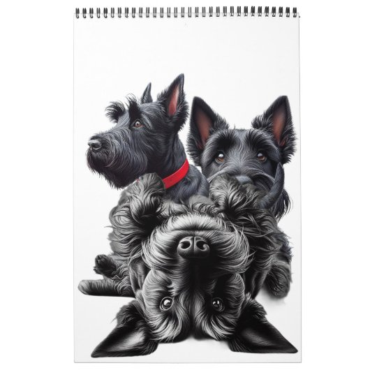 SCOTTISH TERRIER KALENDER (Titelbild)