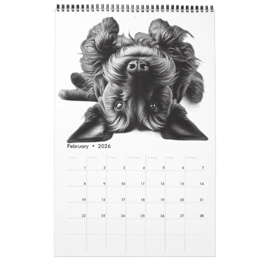 SCOTTISH TERRIER KALENDER (Feb 2026)