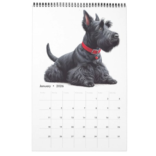 SCOTTISH TERRIER KALENDER (Jan 2026)