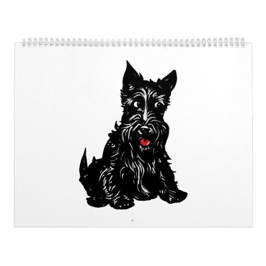 Scottish Terrier Kalender (Titelbild)