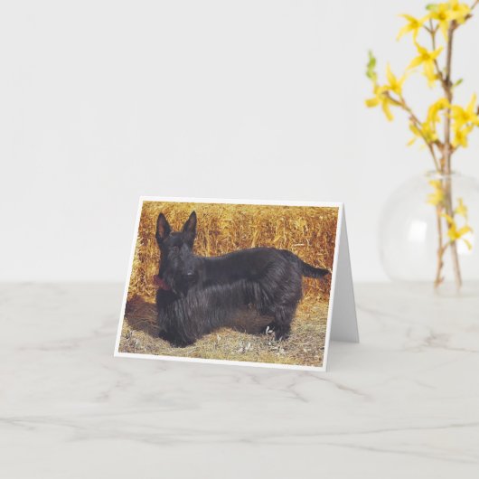 Scottish Terrier, Karte (Gelbe Blume)