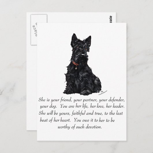 Scottish Terrier Keepake — FEMALE Postkarte (Vorne/Hinten)