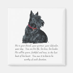 Scottish Terrier Keepake - MALE Dog Magnet