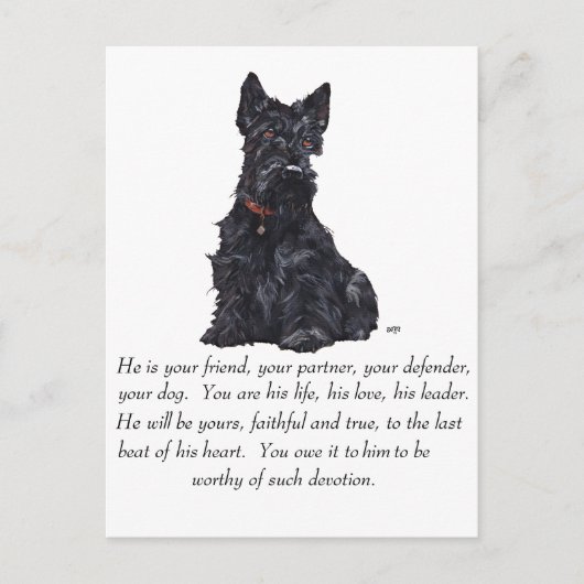 Scottish Terrier Keepake - MALE Dog Postkarte (Vorderseite)