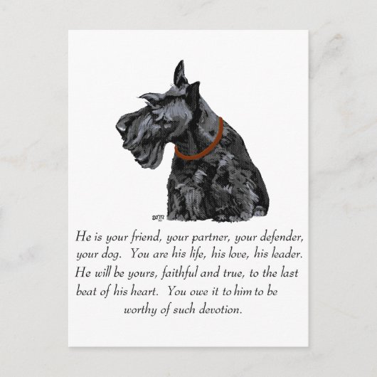 Scottish Terrier Keepake - MALE Dog Postkarte (Vorderseite)