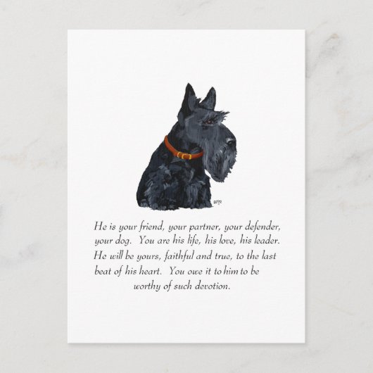Scottish Terrier Keepake Postkarte (Vorderseite)