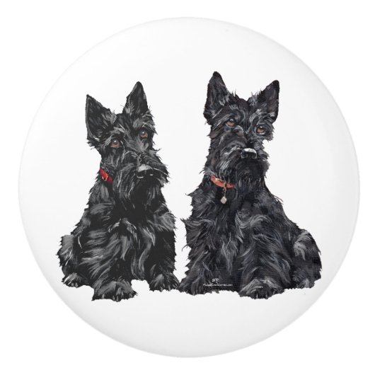 Scottish Terrier Knobs Keramikknauf (Vorderseite)