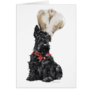 Scottish Terrier Koch