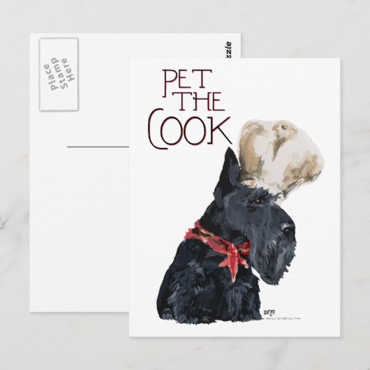 Scottish Terrier Koch Postkarte (Vorne/Hinten)